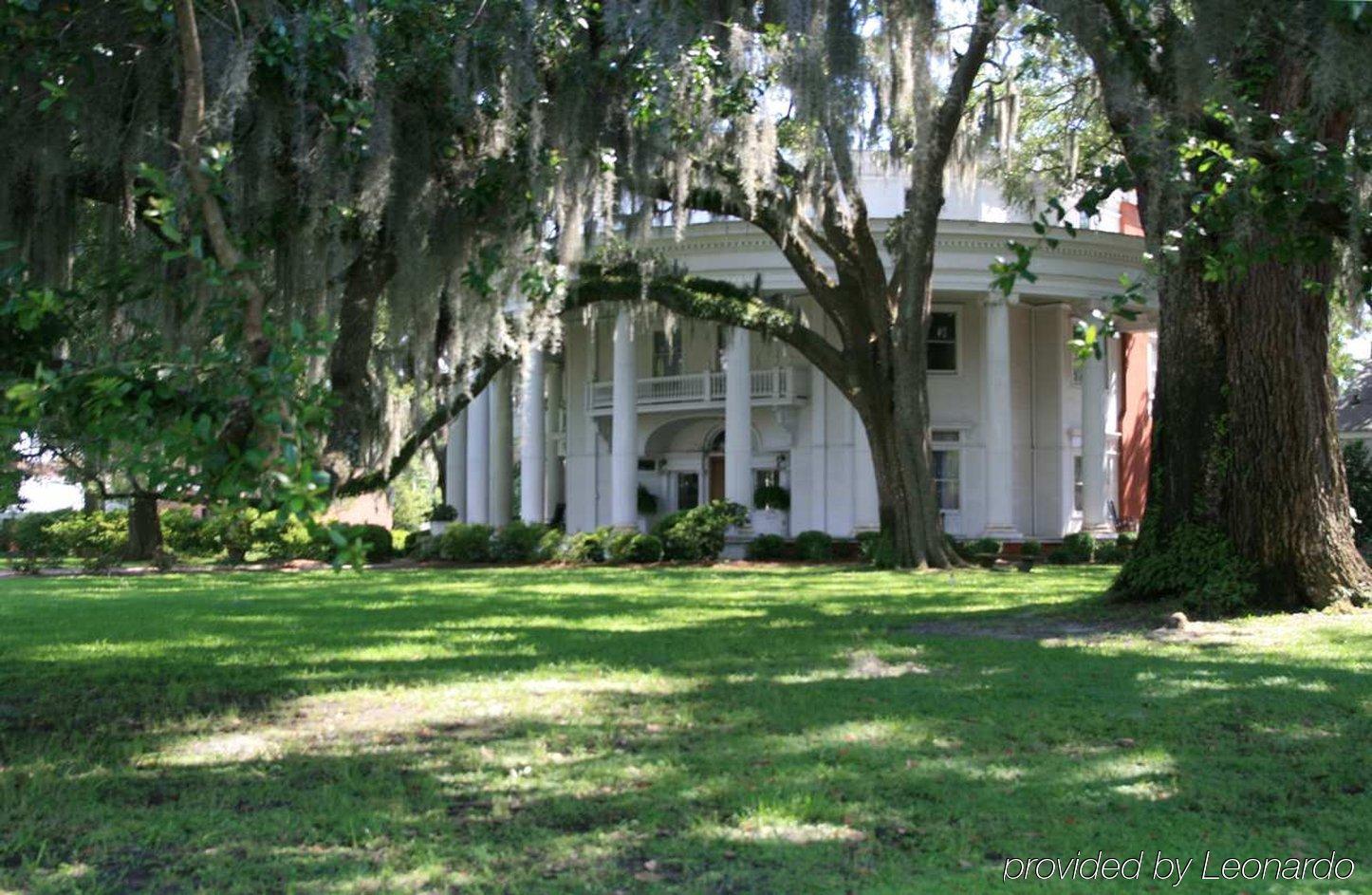 Hilton Garden Inn Valdosta Bekvämligheter bild